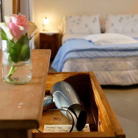 B&B Paradiso N.4 Сиена Экстерьер фото